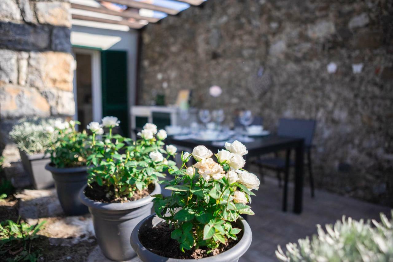 Gardenhouse Sarzana Apartment Bagian luar foto